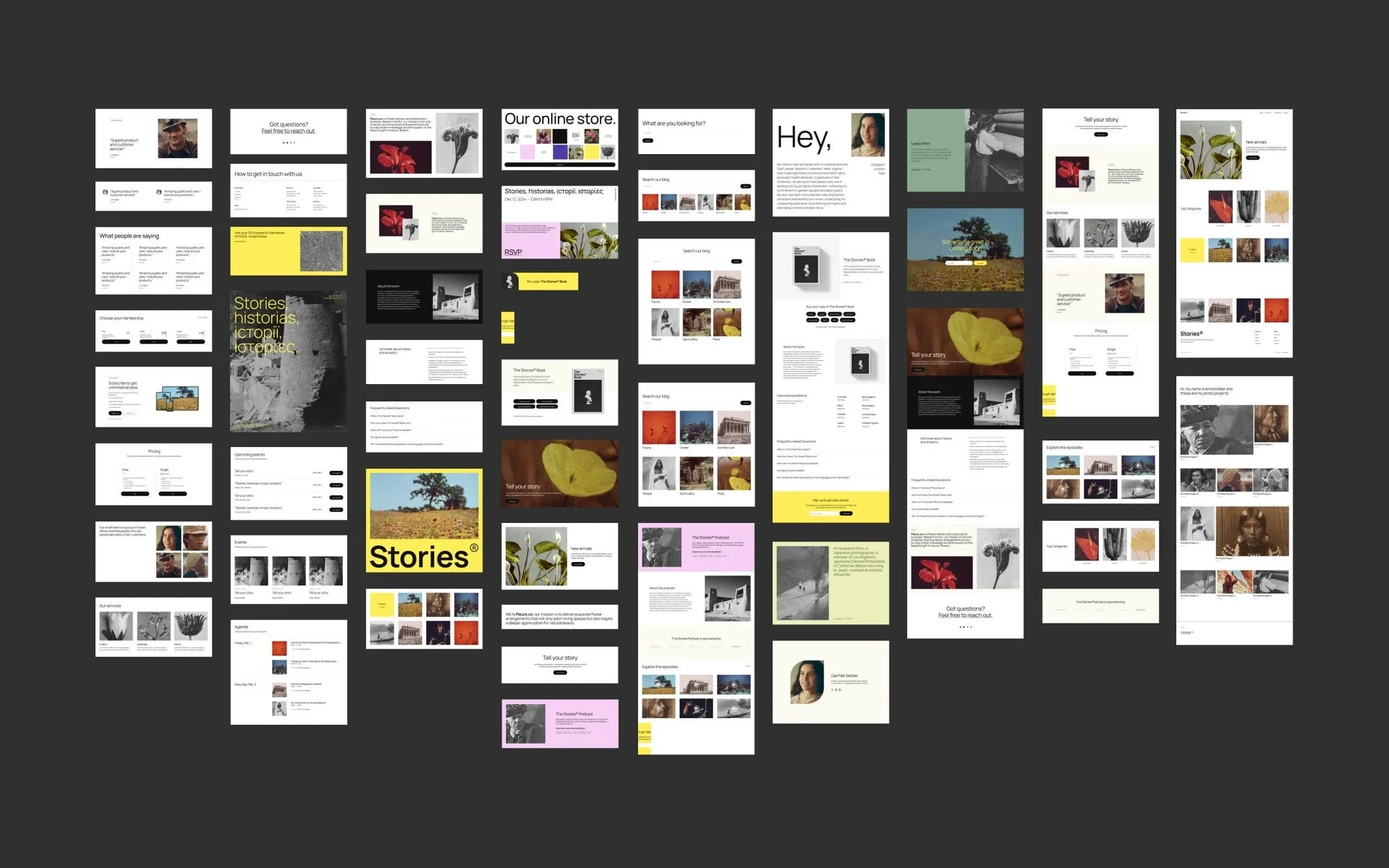 WordPress Theme 2025