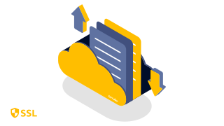 รับดูแลเว็บไซต์ WordPress 10 torr backup